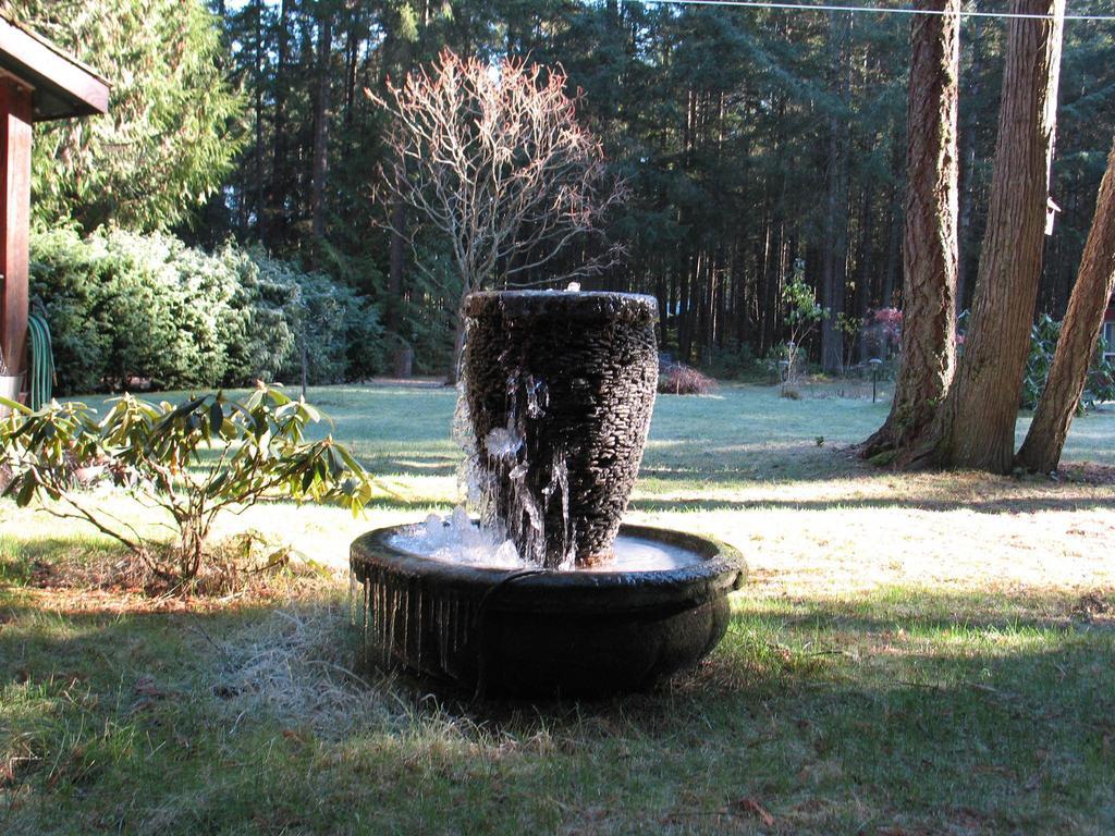 Cedar Song B&B Parksville Camera foto