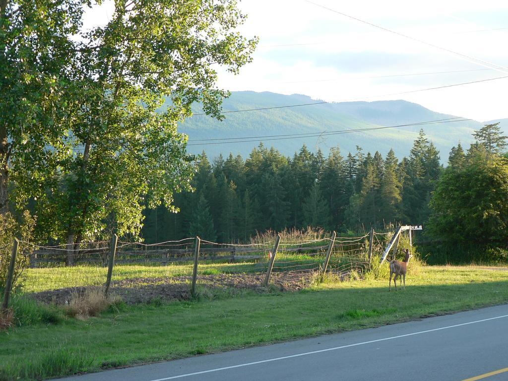 Cedar Song B&B Parksville Camera foto