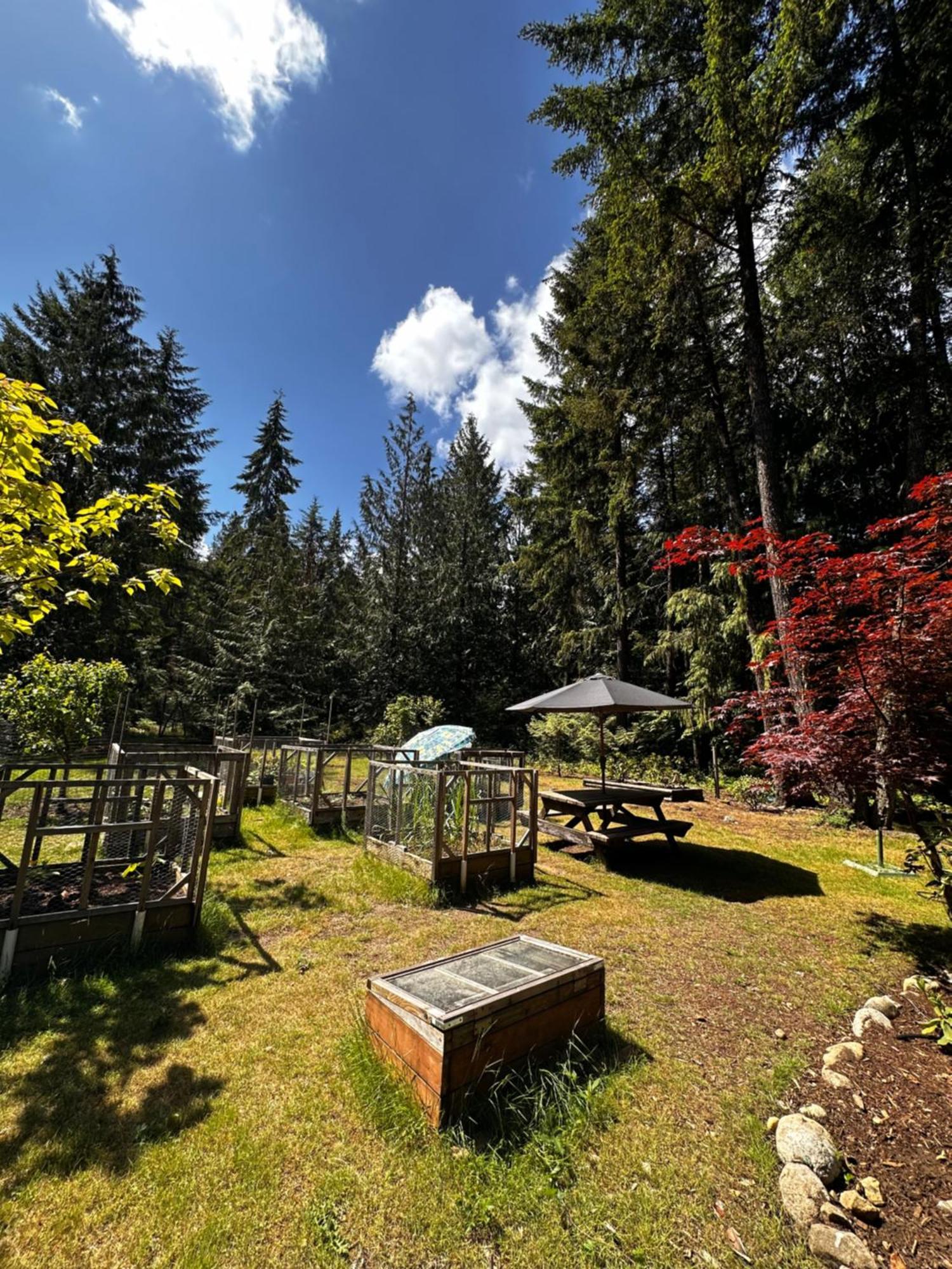 Cedar Song B&B Parksville Esterno foto