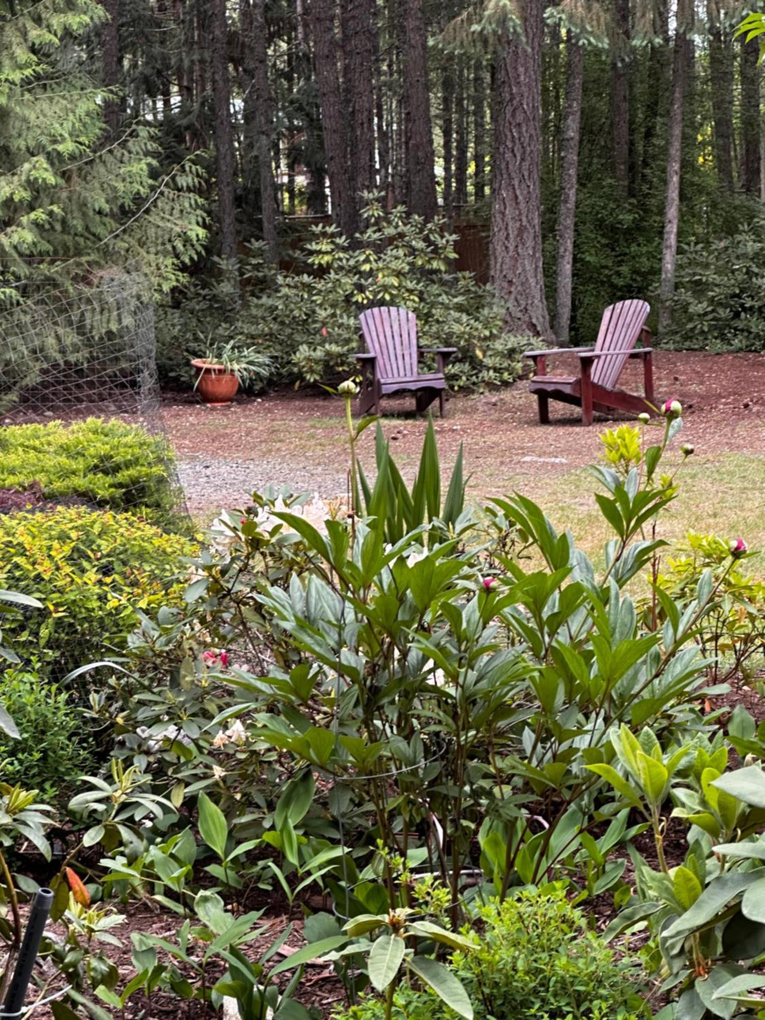 Cedar Song B&B Parksville Esterno foto