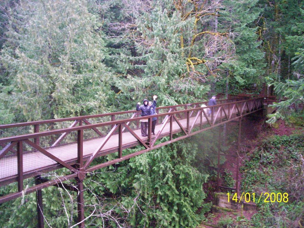 Cedar Song B&B Parksville Esterno foto